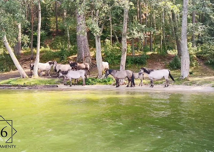 Appartamento P6 Mini Light Black *